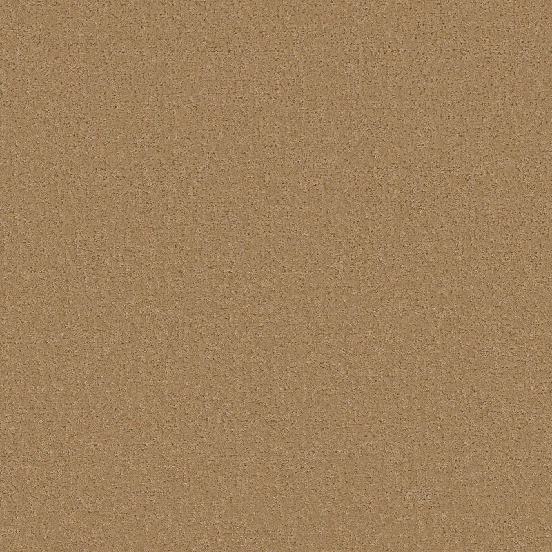 Shaw Floors SFA Canvas Comfort Pasta Recipe