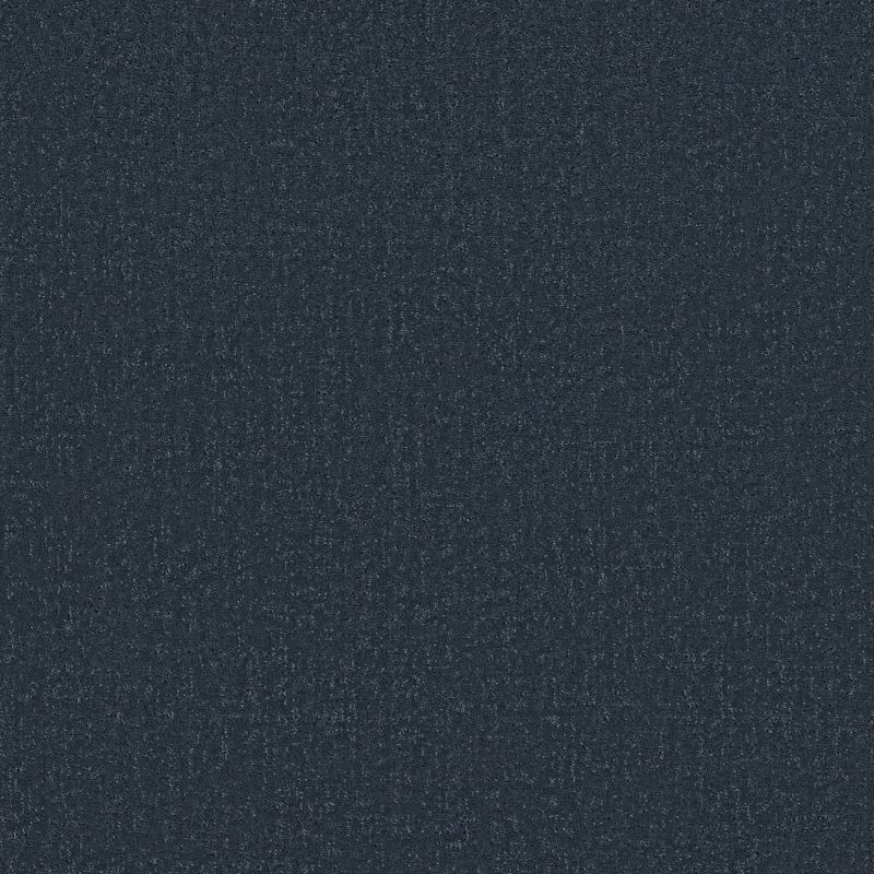 Shaw Floors SFA Canvas Comfort Under The Stars