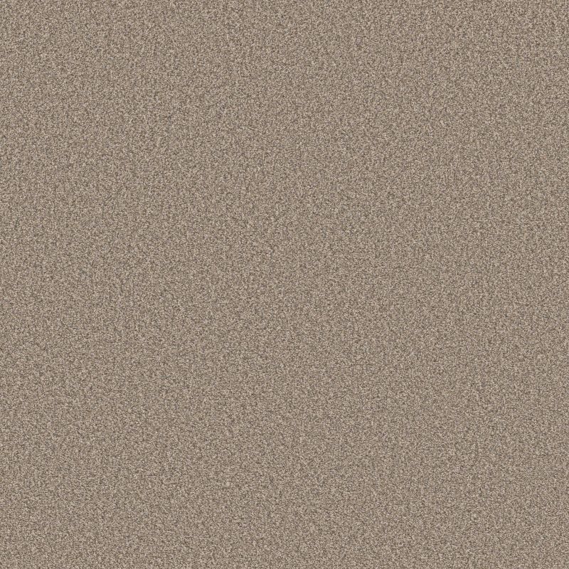 Shaw Floors SFA Tweed Comfort II Honeymoon