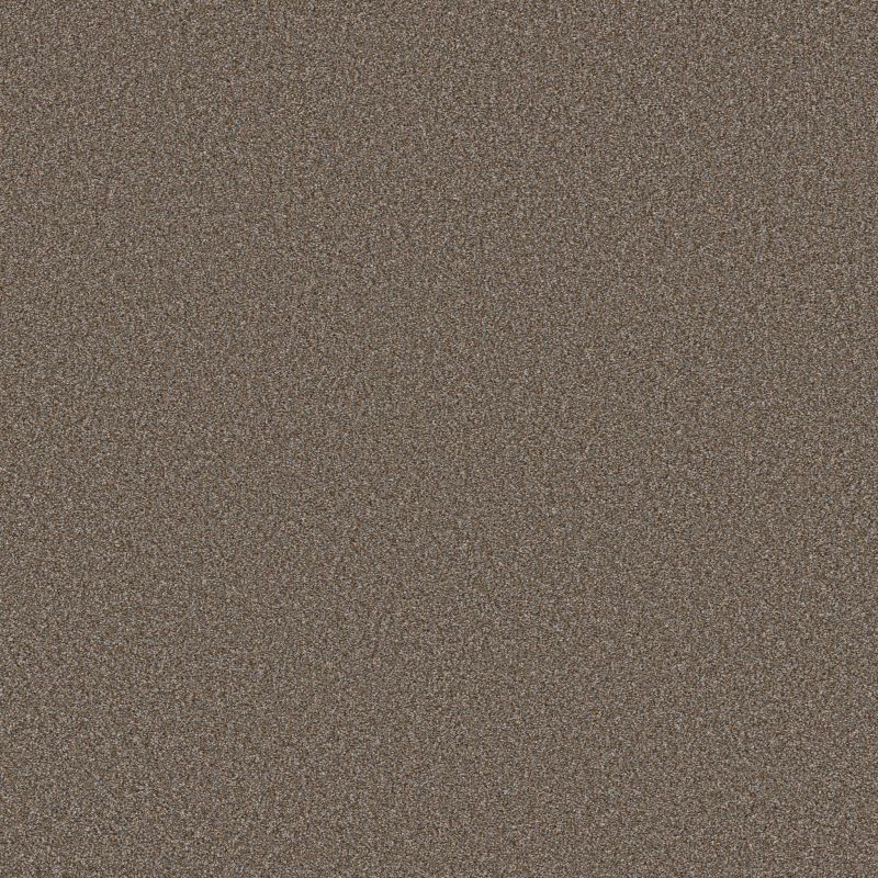 Shaw Floors SFA Tweed Comfort Blue Gathering