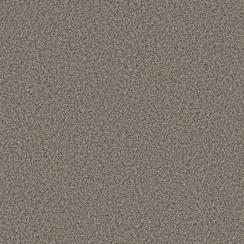 Shaw Floors SFA Tweed Comfort Blue Pop Star