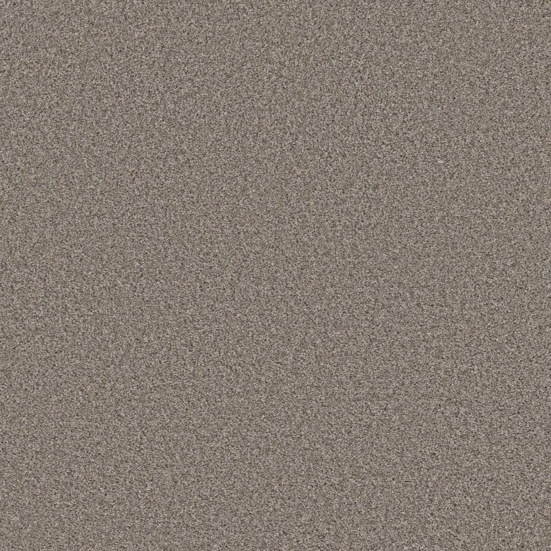 Shaw Floors Simply The Best Always Right I Graphite