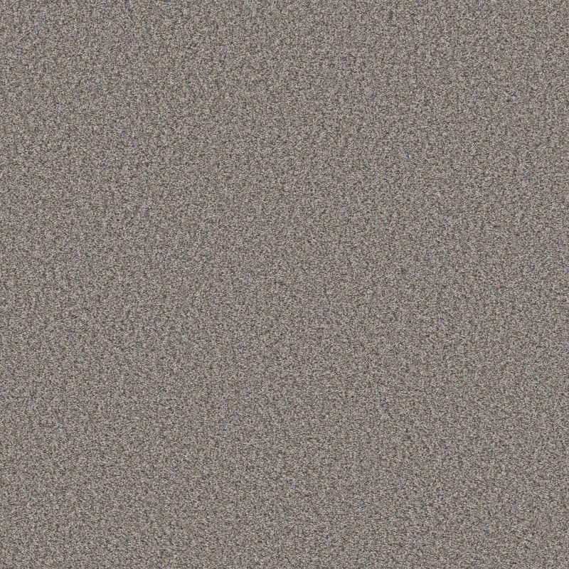 Shaw Floors Simply The Best Always Right II Nantucket