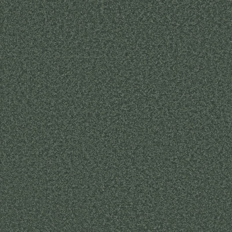 Shaw Floors Pet Perfect Way To Go I Eco Green