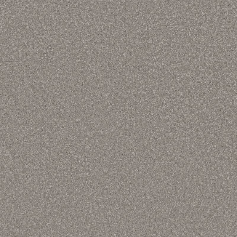 Shaw Floors Pet Perfect Way To Go I Chicago Fog