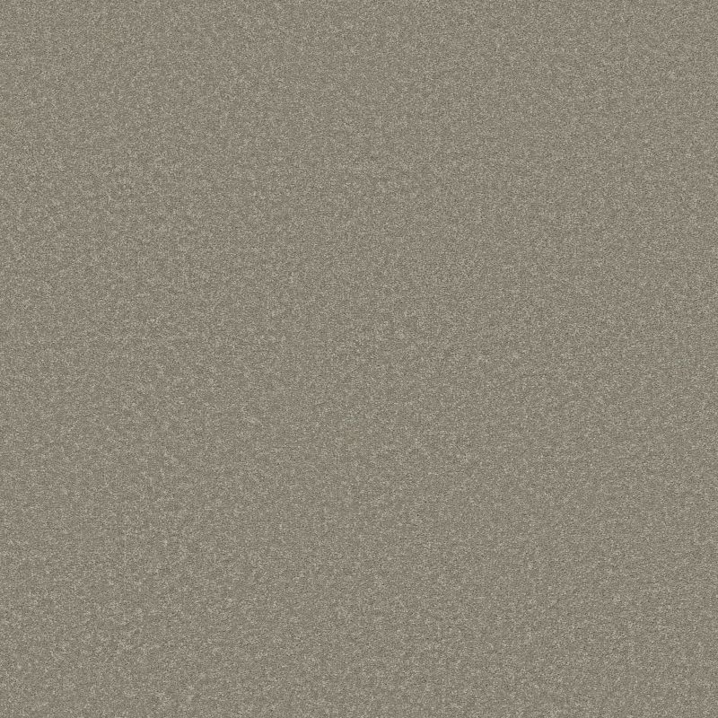 Shaw Floors Pet Perfect Way To Go I Mossy Oak