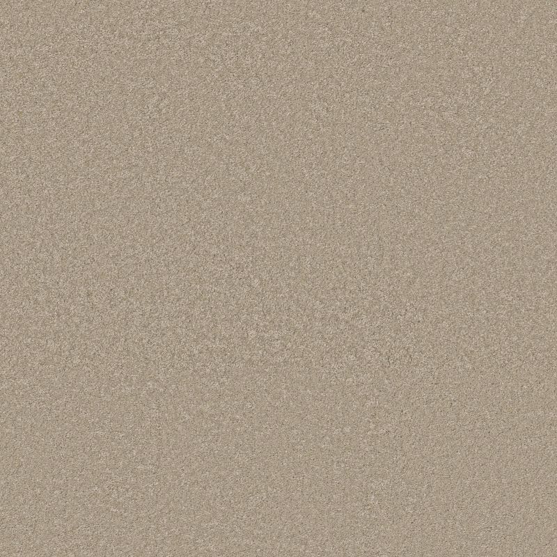 Shaw Floors Pet Perfect Way To Go II Desert Khaki