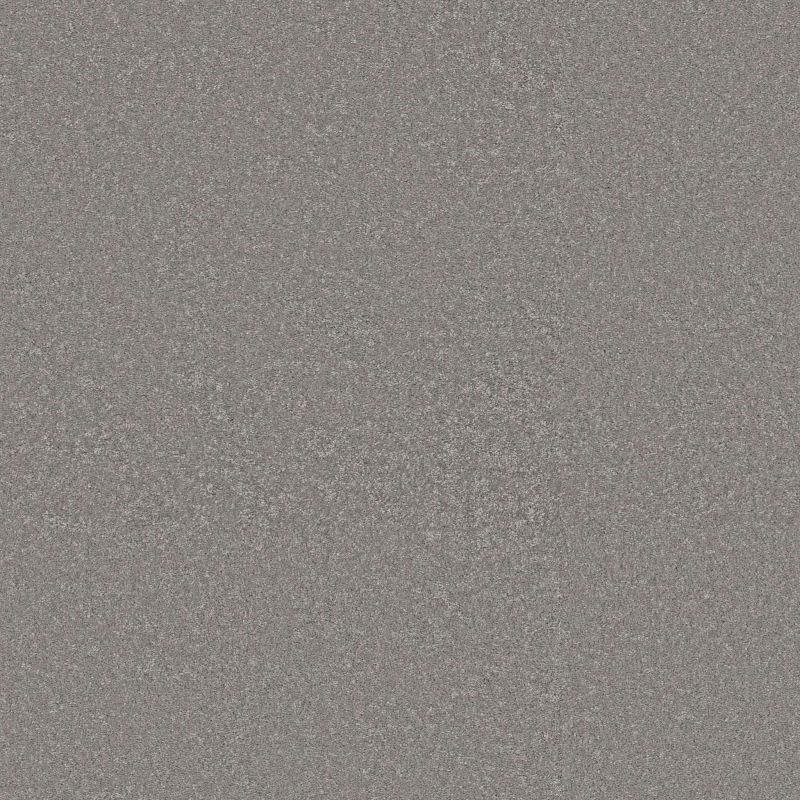 Shaw Floors Pet Perfect Way To Go III Chicago Fog