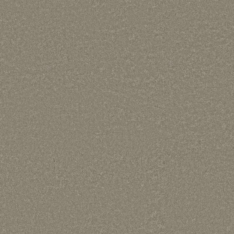 Shaw Floors Pet Perfect Way To Go III Mossy Oak