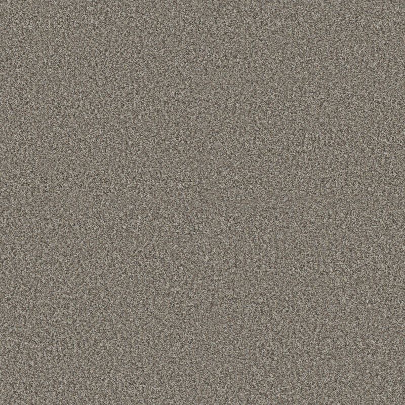 Shaw Floors Pet Perfect Plus Renewed Energy I Granite