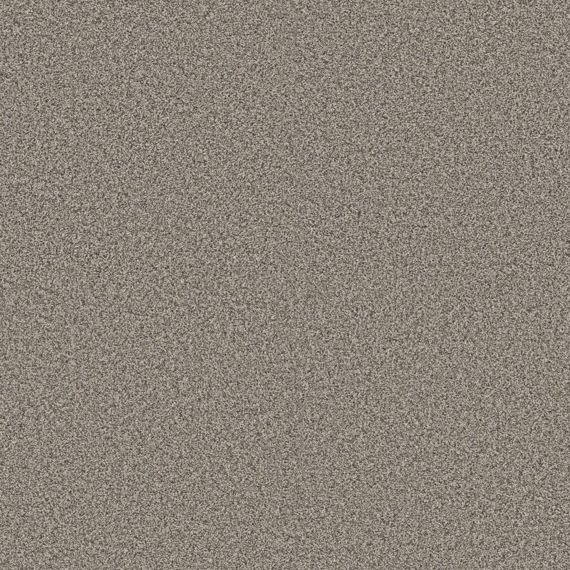 Shaw Floors Pet Perfect Plus Renewed Energy I Prairie Run