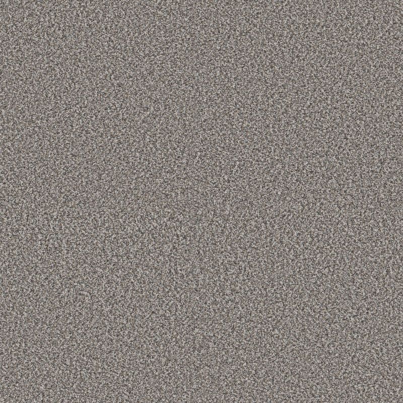 Shaw Floors Pet Perfect Plus Renewed Energy I Fog