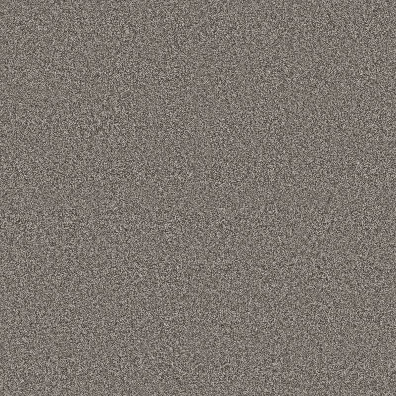 Shaw Floors Pet Perfect Plus Renewed Energy I Cityscape