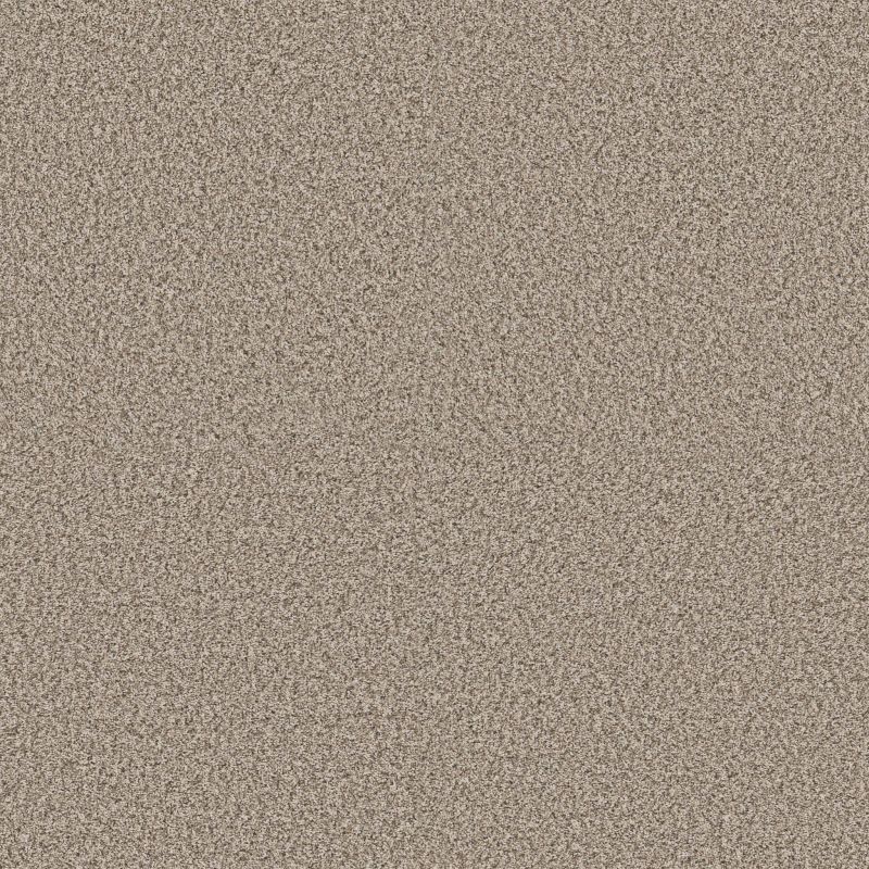Shaw Floors Pet Perfect Plus Renewed Energy II Sandstone