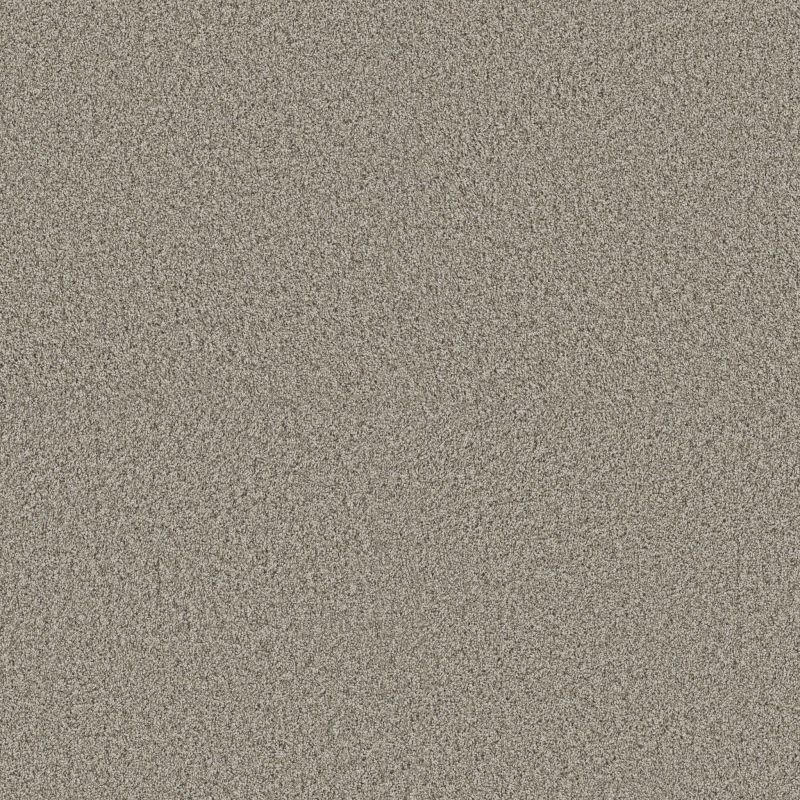 Shaw Floors Pet Perfect Plus Renewed Energy II Landscape