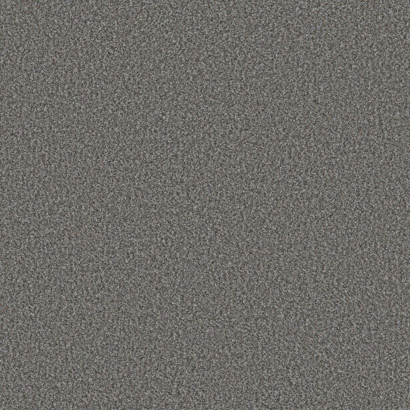 Shaw Floors Pet Perfect Plus Renewed Energy II Paris Sky