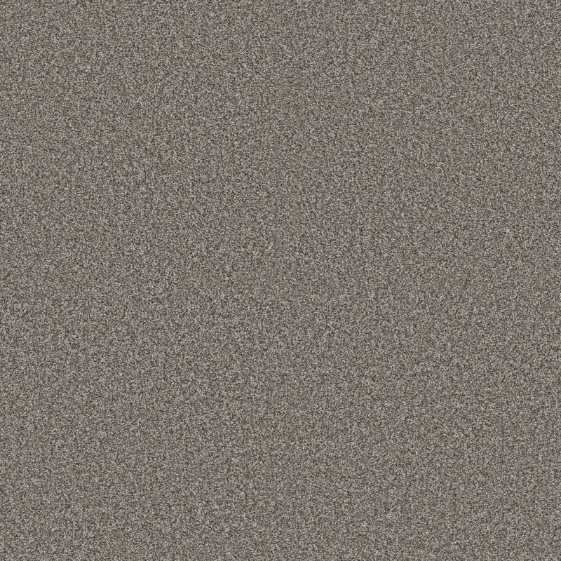 Shaw Floors Pet Perfect Plus Renewed Energy II Cityscape