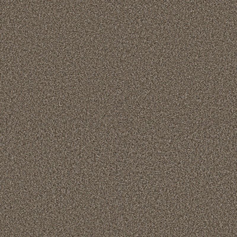 Shaw Floors Pet Perfect Plus Renewed Energy II Fence Post