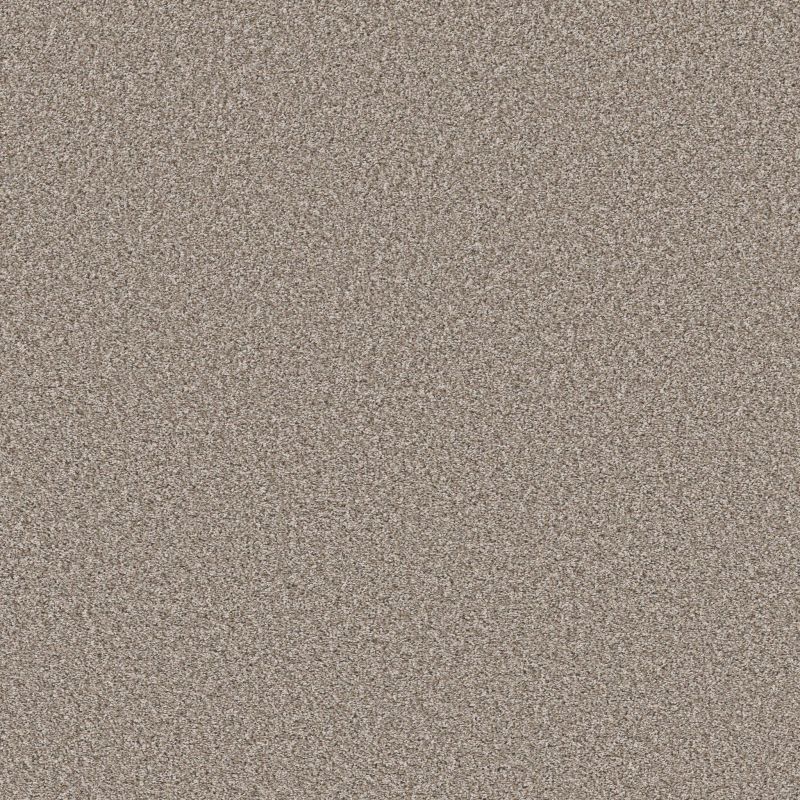 Shaw Floors Pet Perfect Remixed Classic Pebble