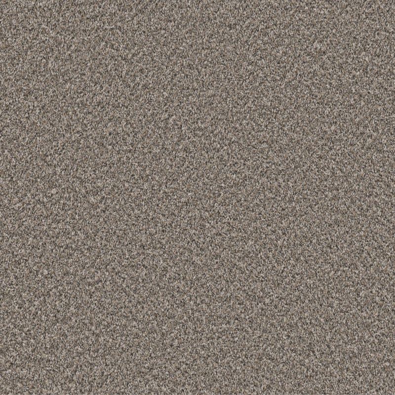 Shaw Floors Pet Perfect Remixed Classic Cobble Drive
