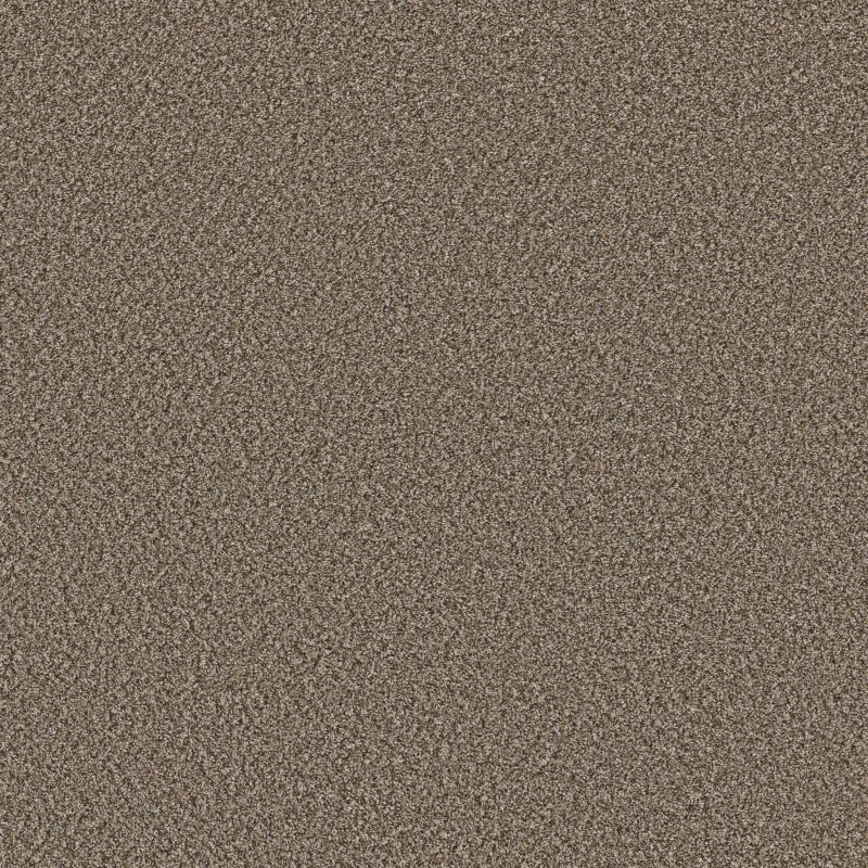 Shaw Floors Pet Perfect Remixed Classic Dry Creek