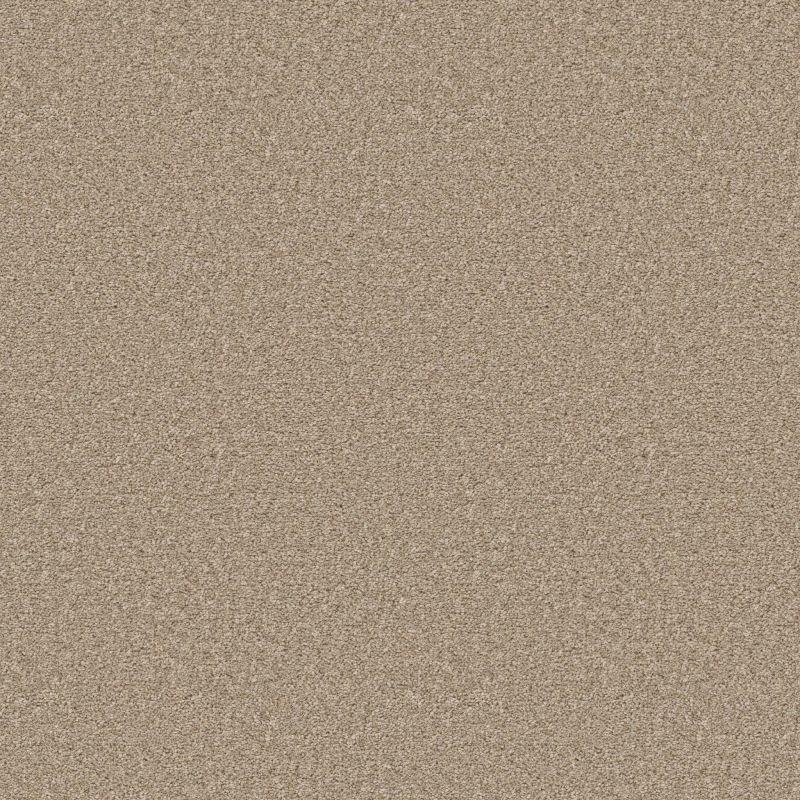 Shaw Floors Pet Perfect Ultra Lush Worn Path
