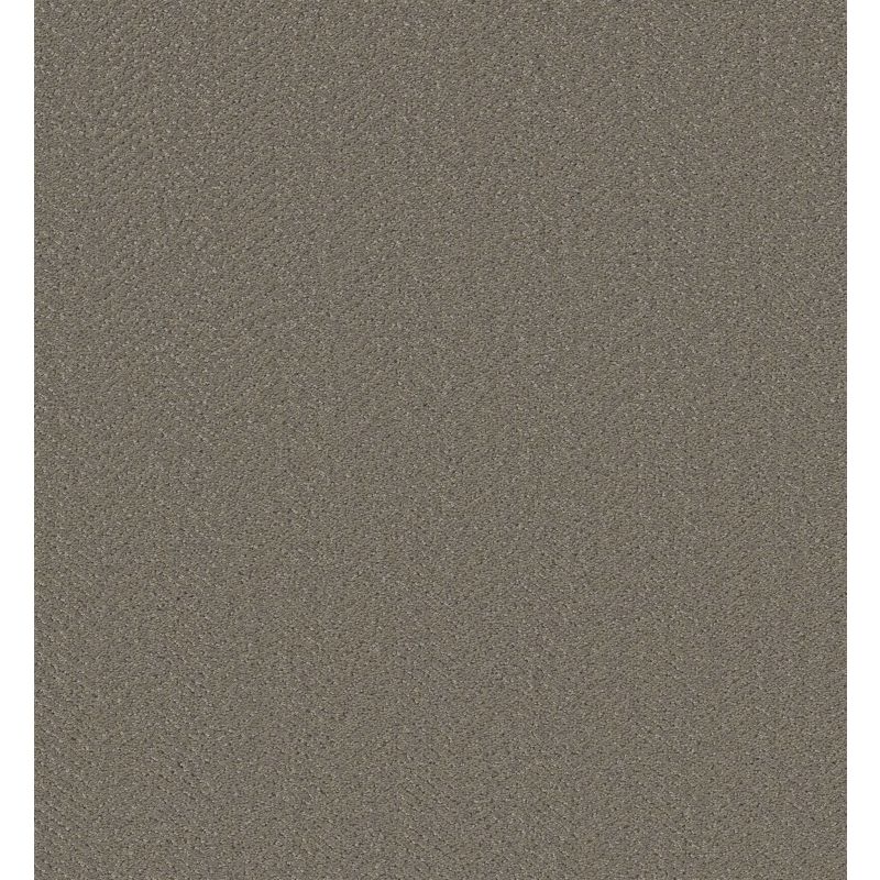 Shaw Floors Simply The Best Highland Twill Fallen Acorn