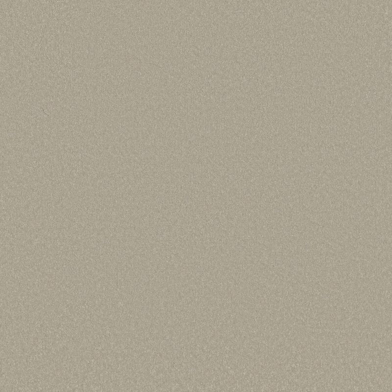 Shaw Floors Awaken Spirit I Whiskers