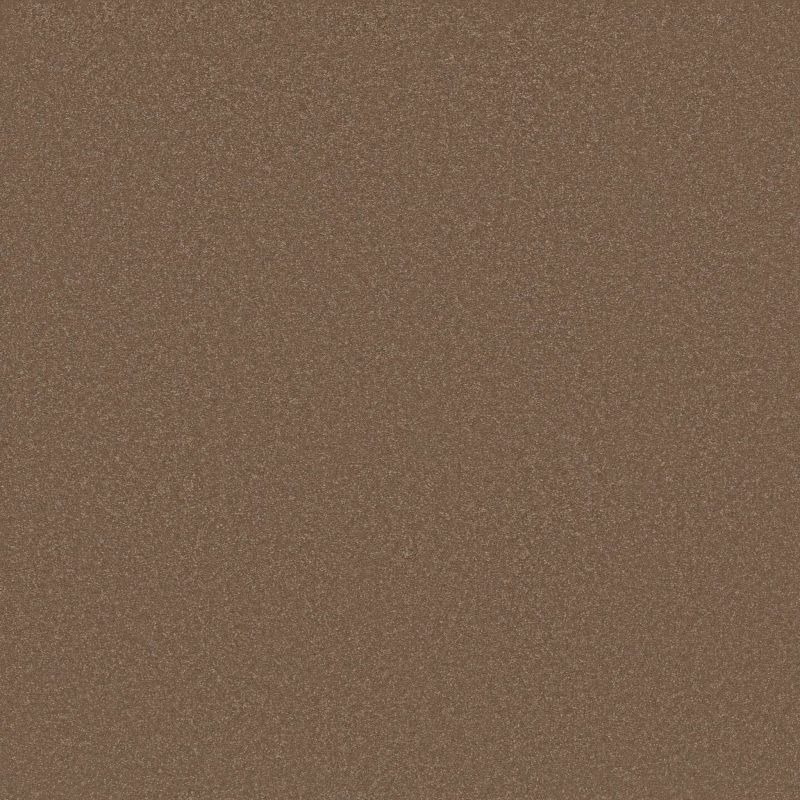 Shaw Floors Awaken Spirit I Copperglaze