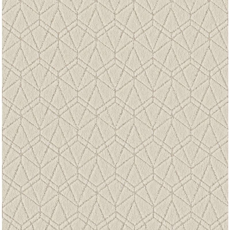 Shaw Floors Pet Perfect Plus Point Of View Natural