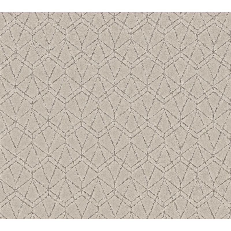 Shaw Floors Pet Perfect Plus Point Of View Soft Sense
