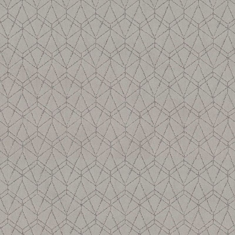 Shaw Floors Pet Perfect Plus Point Of View Gravity