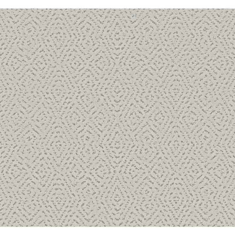 Shaw Floors Pet Perfect Plus Elaborate Artifact Frozen