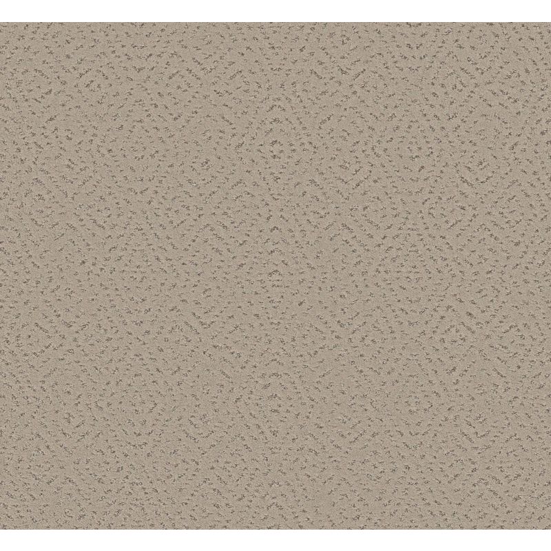 Shaw Floors Pet Perfect Plus Elaborate Artifact Chic Greige