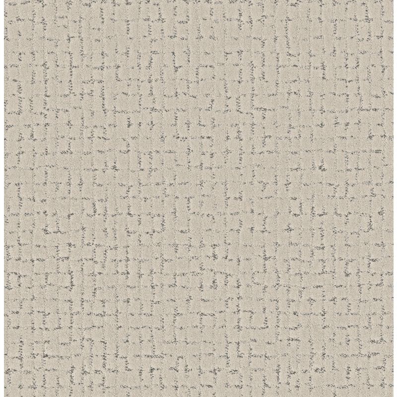 Shaw Floors Pet Perfect Plus Block Party Marble