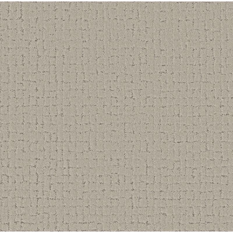 Shaw Floors Pet Perfect Plus Block Party River Birch