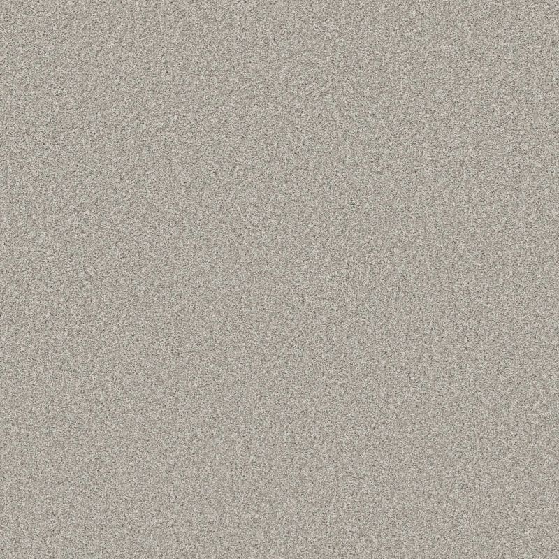 Shaw Floors Prevalent Wool