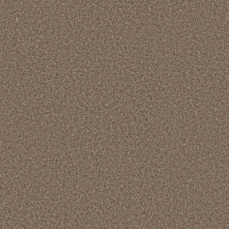 Shaw Floors Prevalent Earthen