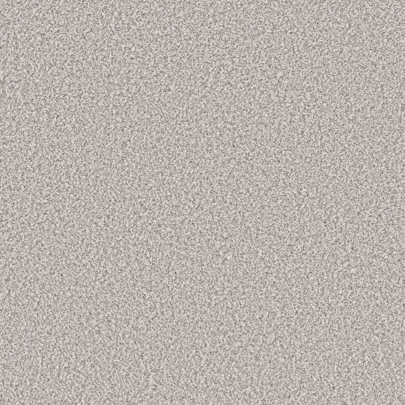 Shaw Floors Pet Perfect Remixed Classic Net Silver Lining