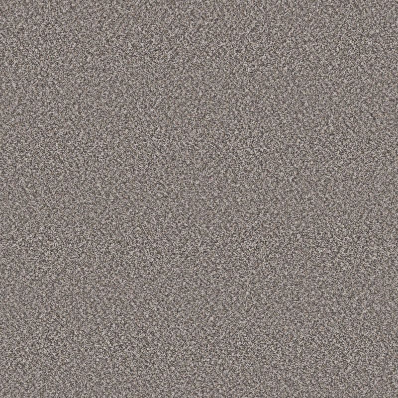Shaw Floors Pet Perfect Remixed Classic Net Mineral