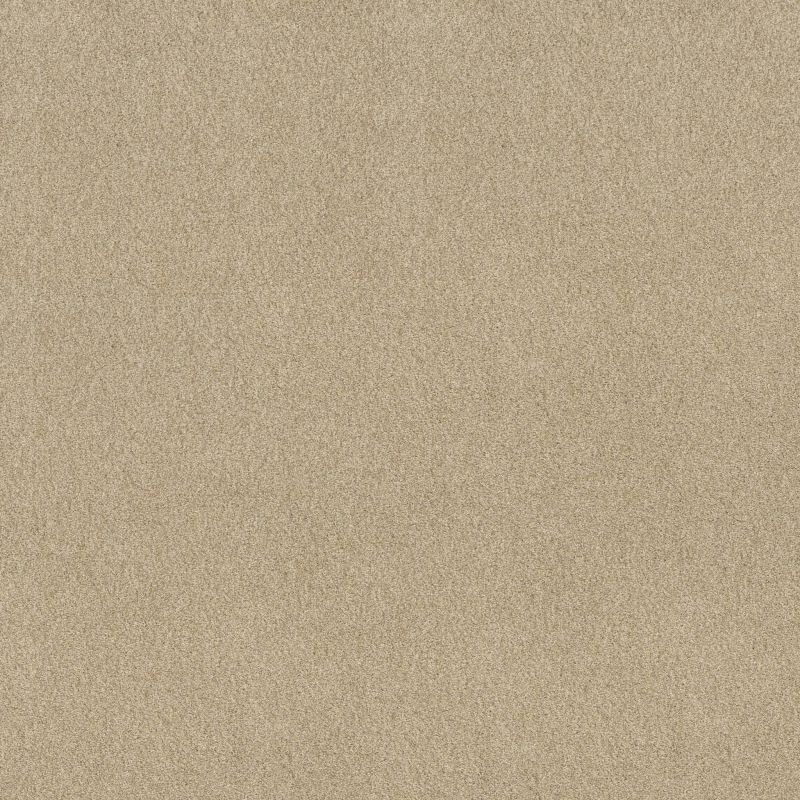 Shaw Floors SFA Tonal Comfort I Net Sun Kissed