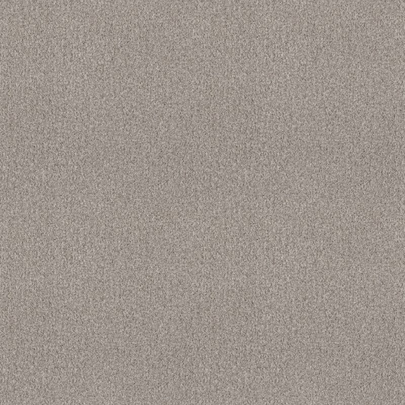 Shaw Floors SFA Tonal Comfort I Net Chill In The Air