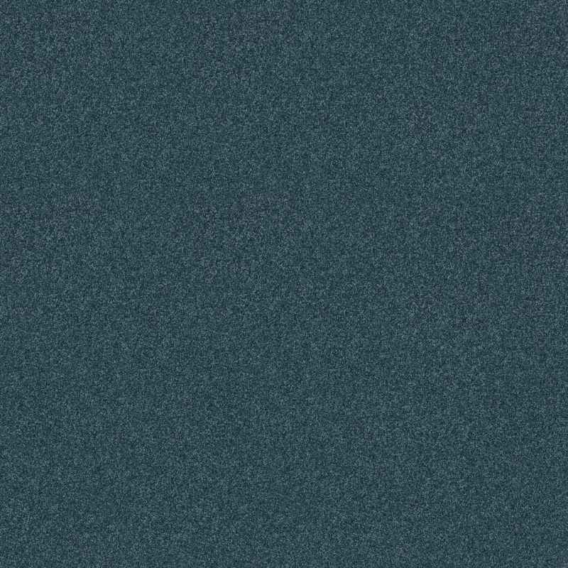 Shaw Floors SFA Tonal Comfort I Net Twilight Golf