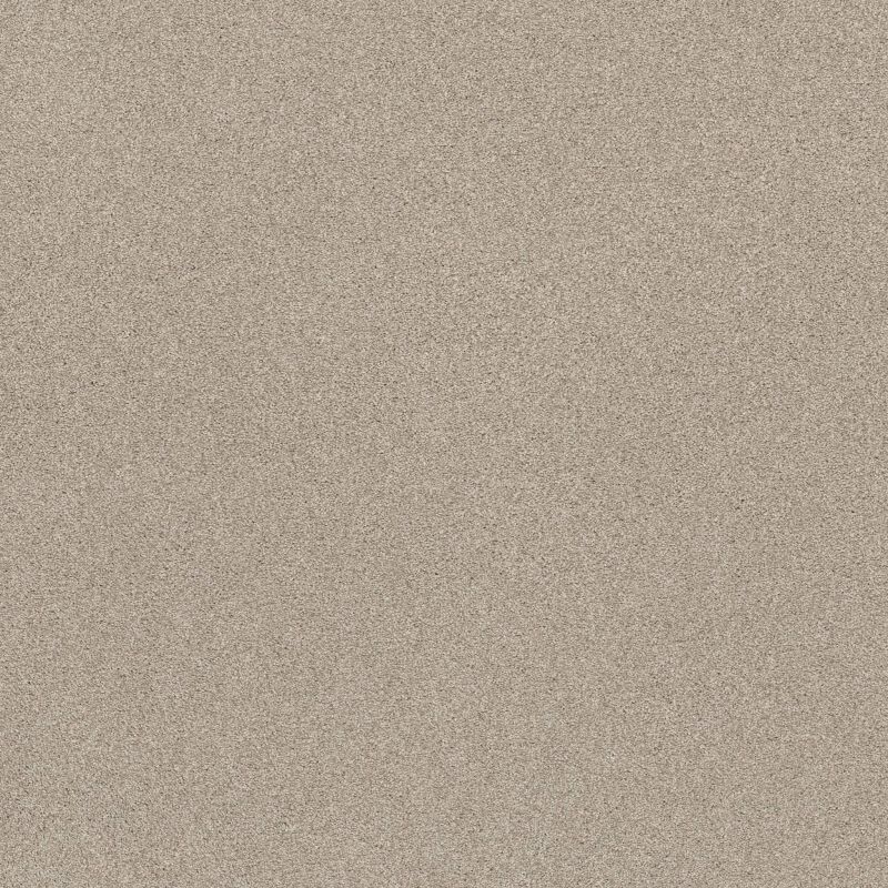 Shaw Floors SFA Tonal Comfort II Net Sand Castle