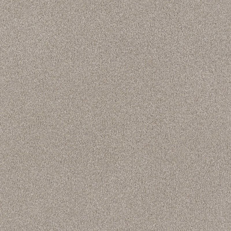 Shaw Floors SFA Tonal Comfort II Net Shoreline Haze