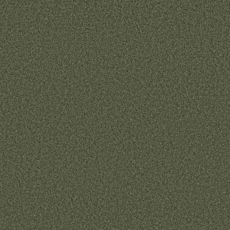Shaw Floors SFA Tonal Comfort II Net Olive Grove