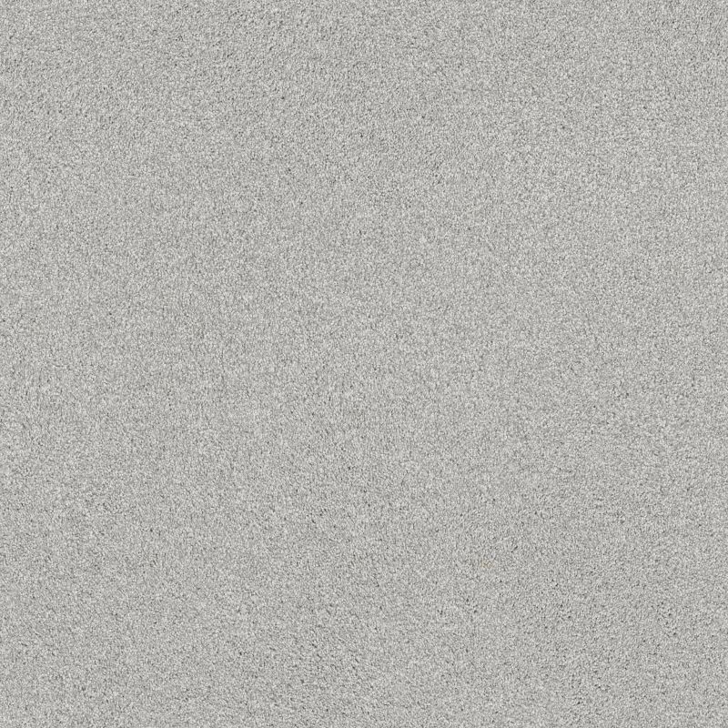 Shaw Floors SFA Tonal Comfort II Net Morning Dew