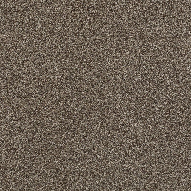 Shaw Floors SFA Tonal Comfort II Net Summer House