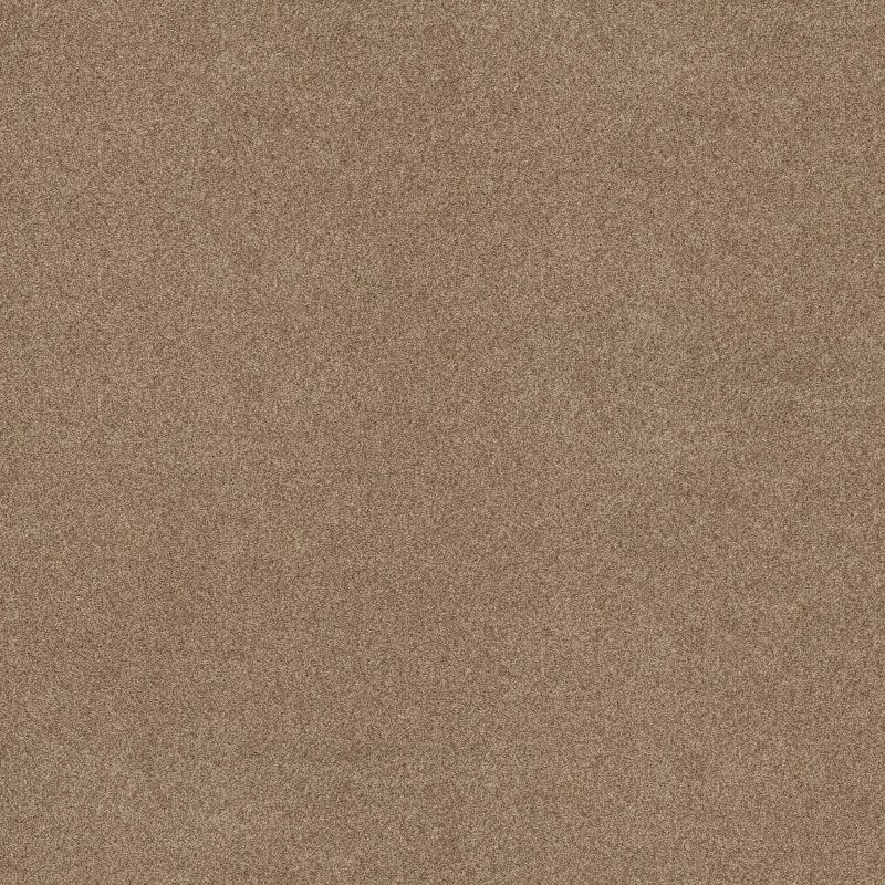 Shaw Floors SFA Tonal Comfort II Net Falling Leaves