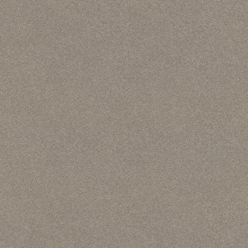 Shaw Floors SFA Tonal Comfort II Net Back Patio